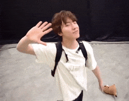 Lee Chan Dino GIF