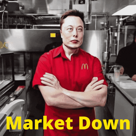 Elon Musk GIF by :::Crypto Memes:::