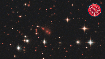 Deep Space Star GIF by ESA/Hubble Space Telescope