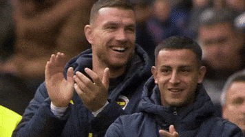 Edin Dzeko GIF by Kral Spor