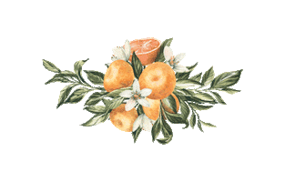 Sticker by Dolce Tangerina