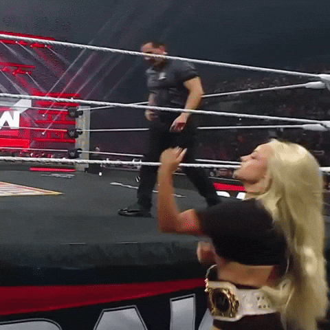 Wwe Raw Fight GIF