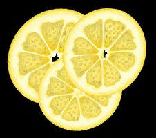 botanicink fruit fresh lemon easy GIF