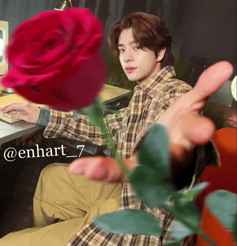 Flower Rose GIF