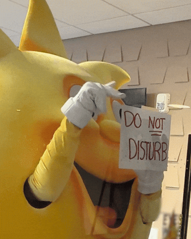 Do Not Disturb Dnd GIF by Kellogg's