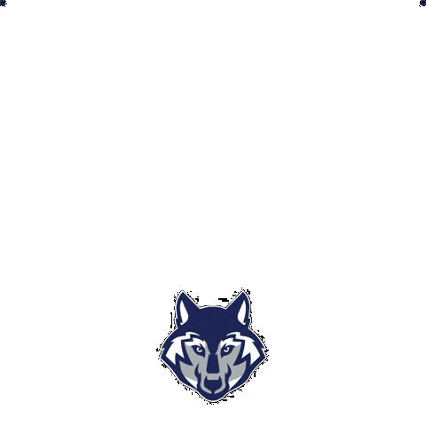 SFES Sticker