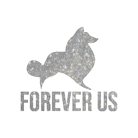 estilocollie Sticker