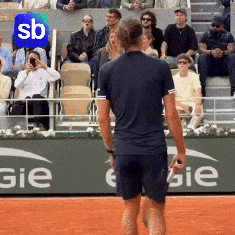 Grand Slam Tennis GIF by Sporbulteni