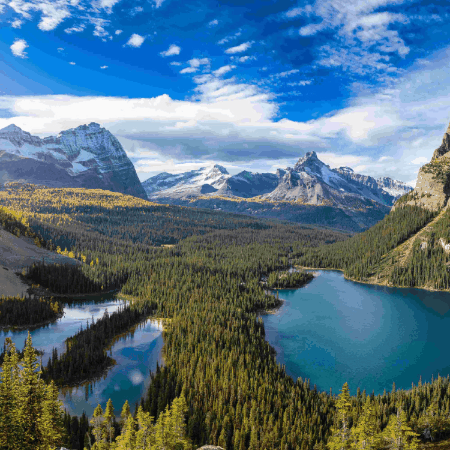 Felix Y Manalo Foundation GIF