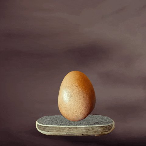 Roe V Wade Egg GIF by Leroy Patterson