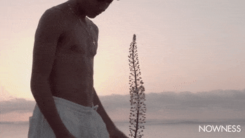 Travel To Greece With These Sunsoaked Young Adonises GIF by NOWNESS