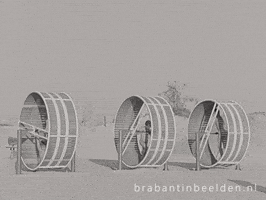 Summer Beach GIF by BrabantinBeelden