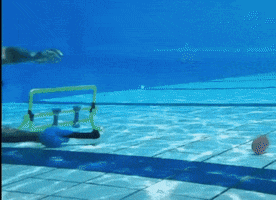 UWH_SG GIF
