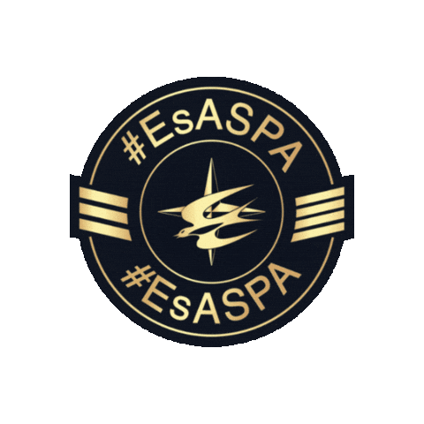 Aviacion Aspa Sticker by Grupo LICON