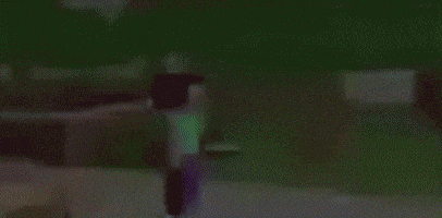 Steve Snowball GIF