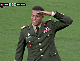 Saluting France GIF