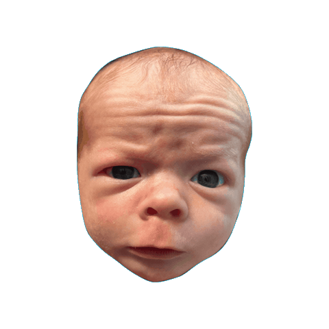 Sticker by The Alexander Team