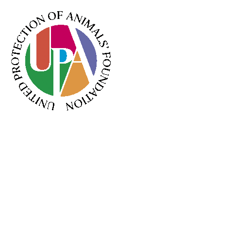 Cat Upa Sticker by upafoundation