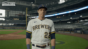 Lets Go Baseball GIF by American Family Insurance