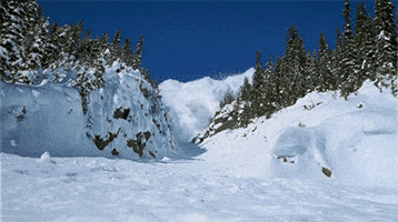 GIF tso los ntawm Heidi