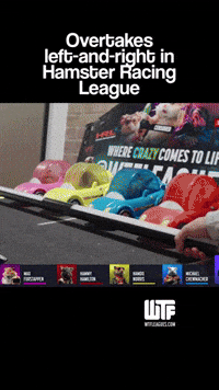 Overtakes left-and-right in Hamster Racing League