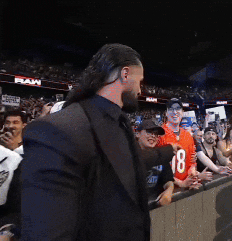 Seth Rollins Wwe GIF
