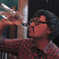 Party Drinking GIF