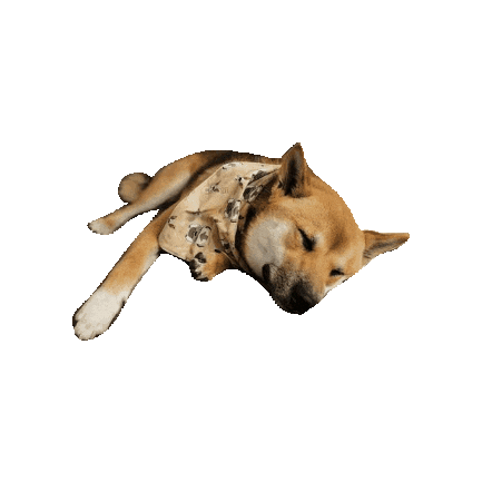 Sleepy Shiba Inu Sticker by Geekster Pets