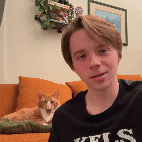 Cat Yawn GIF