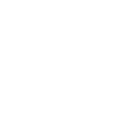 Serralves Em Festa Sticker by Serralves