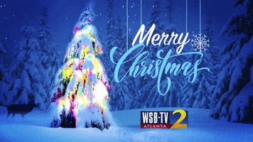 Christmas Atlanta GIF by WSBTV