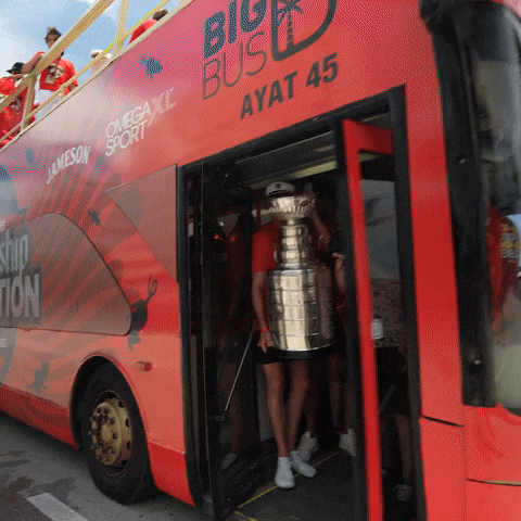 Stanley Cup Nhl GIF by Florida Panthers