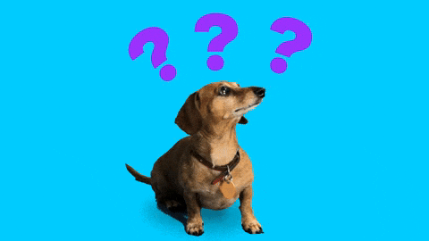 Confused Where Am I GIF by Originals - Find & Share on GIPHY