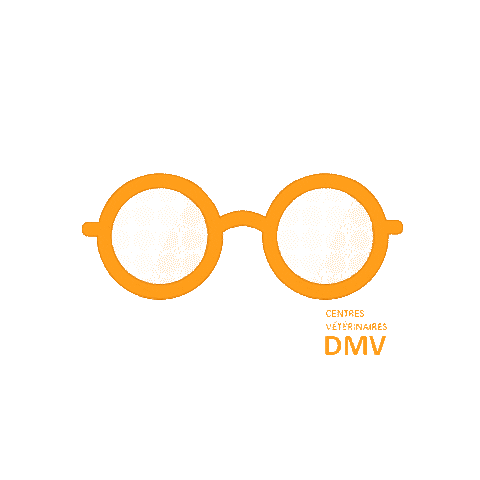 Centres Vétérinaires DMV Sticker