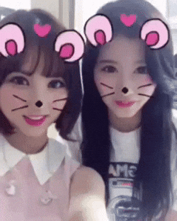 Verin GIF