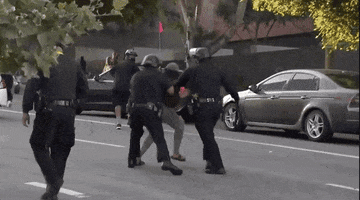 Police GIF