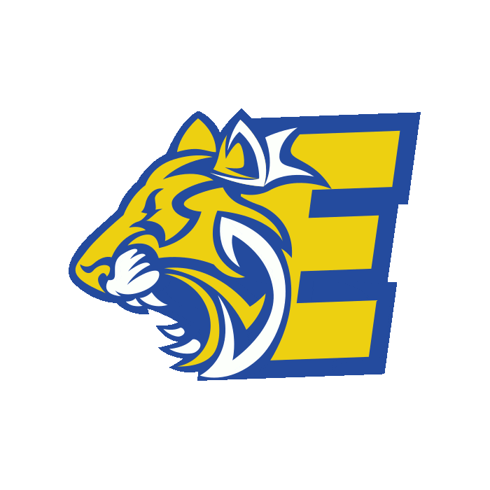 Tiger Volley Sticker by Esperia