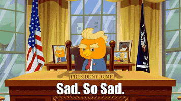Sad Donald Trump GIF by Noise Nest Network