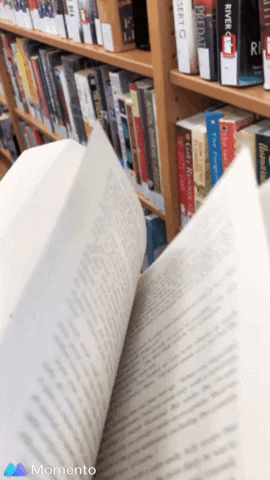 Downtown Tillsonburg GIF