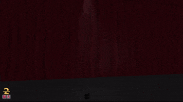 Party GIF
