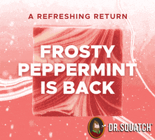 Candy Cane Peppermint GIF by DrSquatch