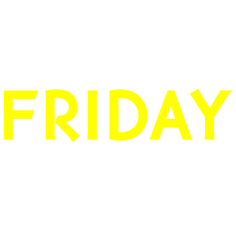 Blackfridayyr Sticker by YvesRocherPT