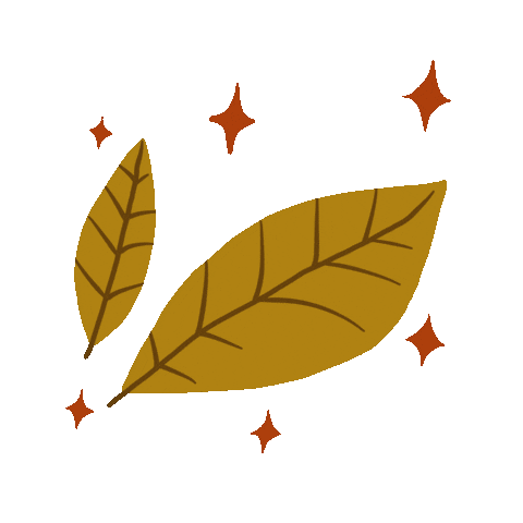 Animated Sticker
