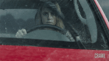 Girl Drive GIF by The Crawl Movie