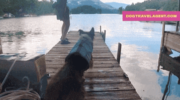 Going For It Lake Lure GIF by visitnc