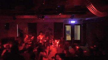 zomerkampzwijndrecht disco chaos feest springen GIF