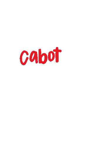 David's Burgers Sticker