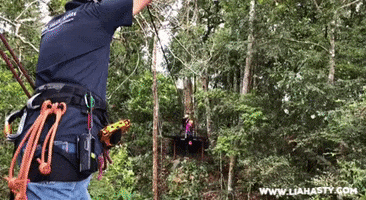 Habitatpenang GIF