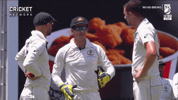 cricketcomau test cricket review drs GIF