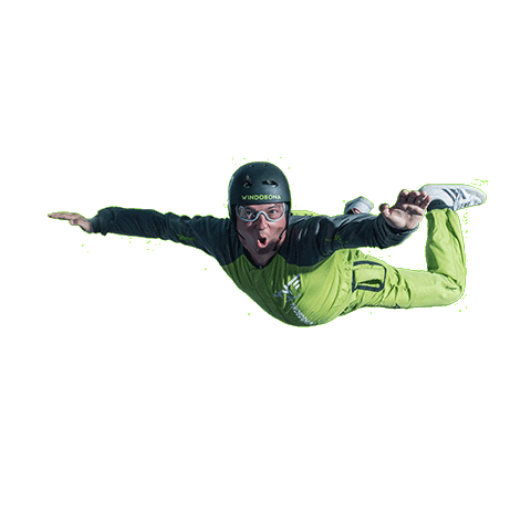 windobonamadrid Sticker